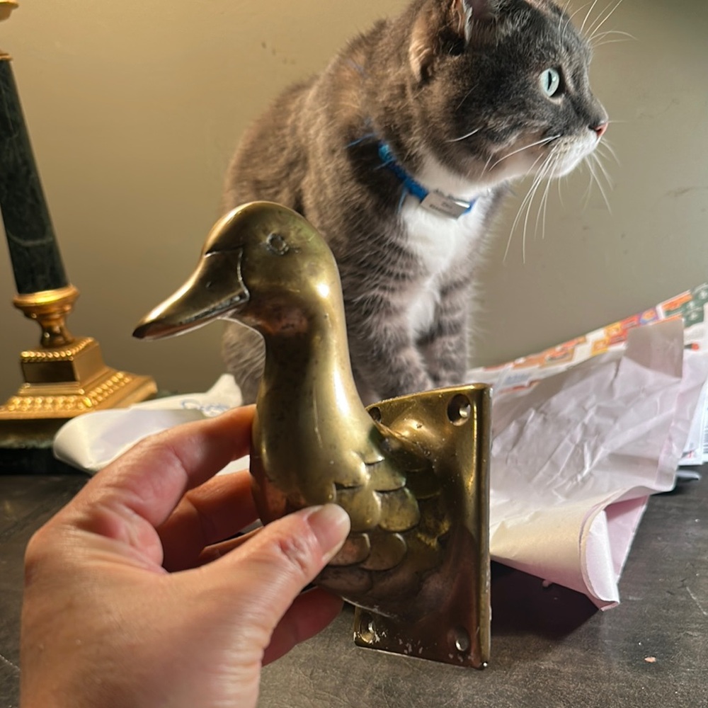 Antique solid brass Duck 🦆 towel hook 🪝